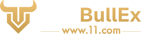OneBullEx